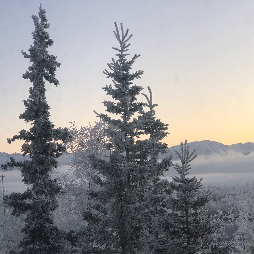 Meet your Posher, Kara